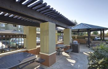 Beautiful picnic areas with barbecue grills